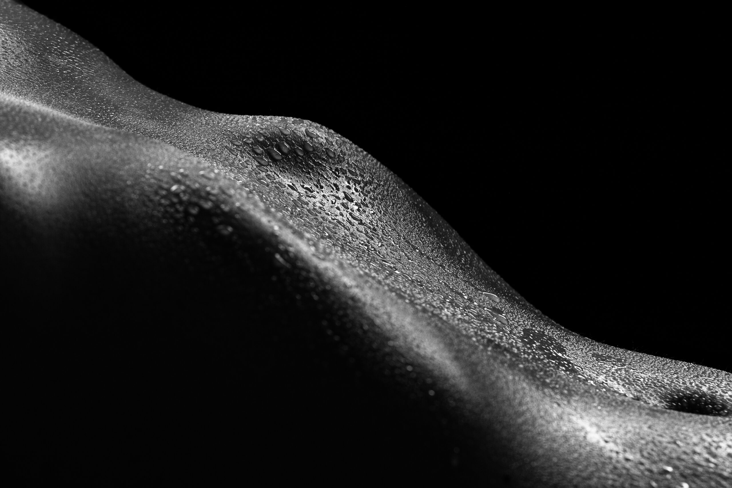 artistic black and white body detail with water droplets and textured lighting